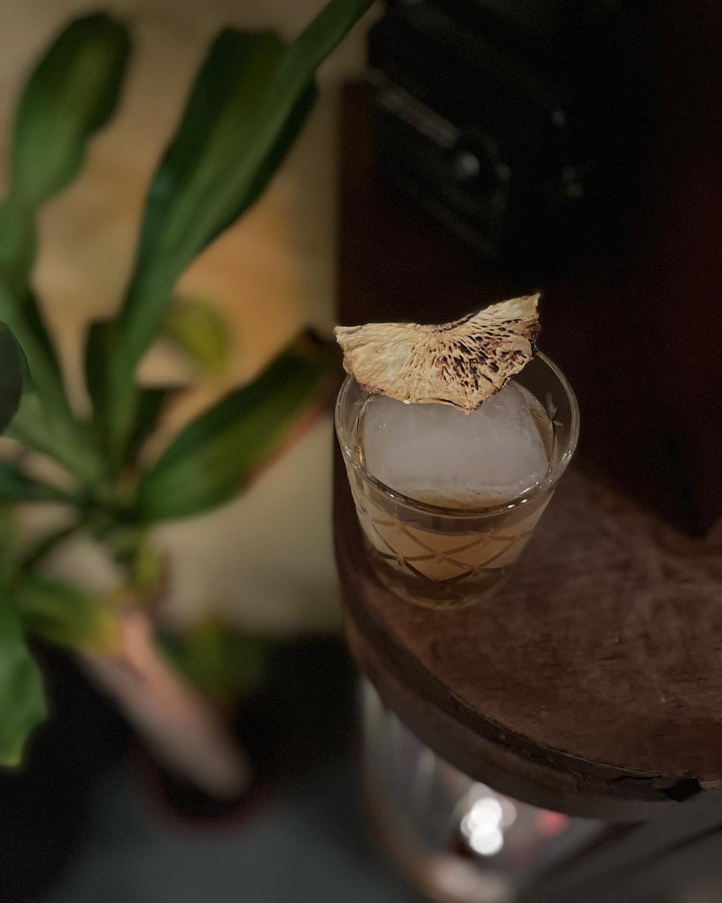 DEGUSTACE GINIST v BONVIVANT CTC`s BAR - GINIST